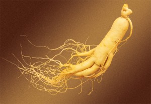 Ginseng (3)