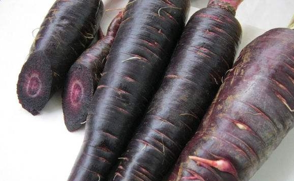 black carrot seed