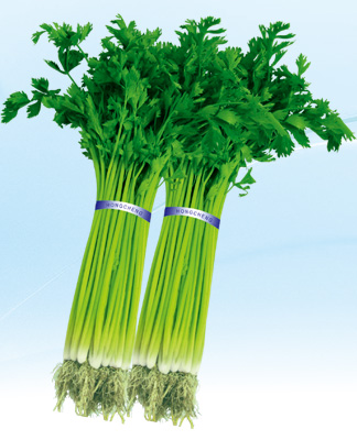 Chinese celery seed Japanese parsley 